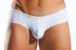 CX79 White Pointer Hero