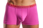 CX94 Fuchsia Hero