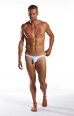 Cx02 White Pointer 1