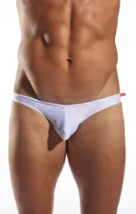 Cx02 White Pointer 2