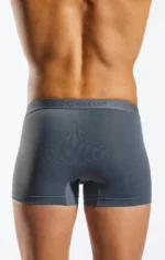 Cx12 Grey 4