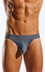 Cx21n Grey 2