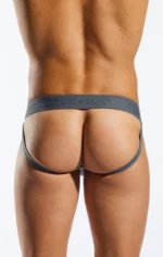 Cx21n Grey 4