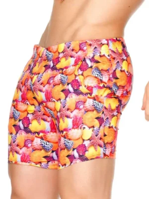 DS01 CORALS 2