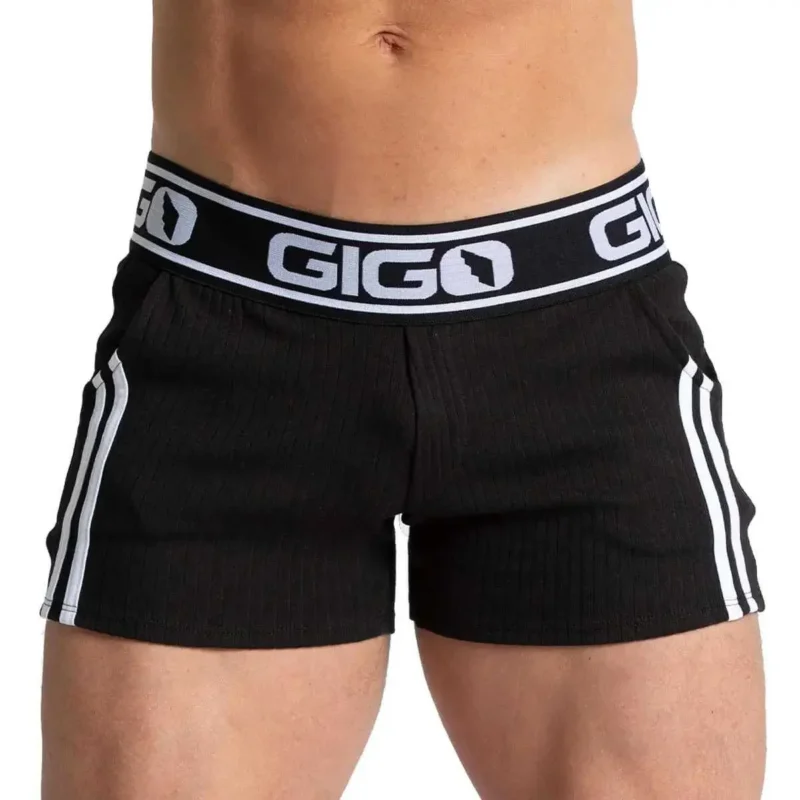 FP01 BLACK
