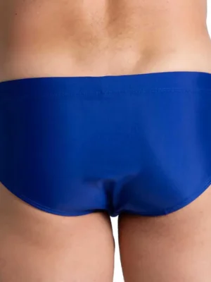 FS09 BLUE 2