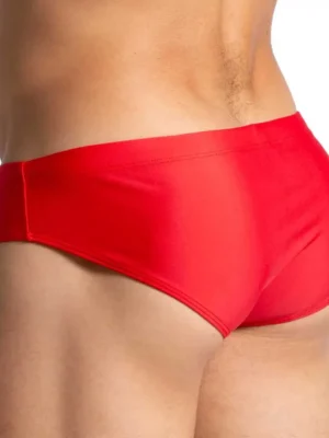 FS09 RED 2