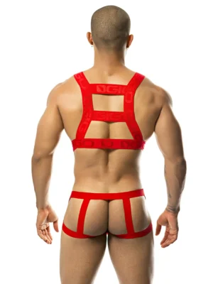 H32191 RED 2