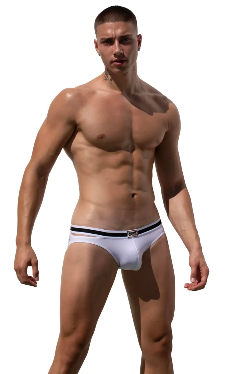 Alexanderbriefwhite23136x4704