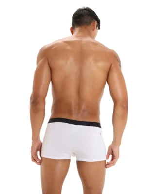 Dandyboxerwhiteback