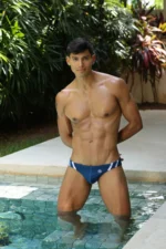 Panacheblue1 Copy