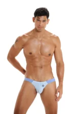 Savoybriefbluefront