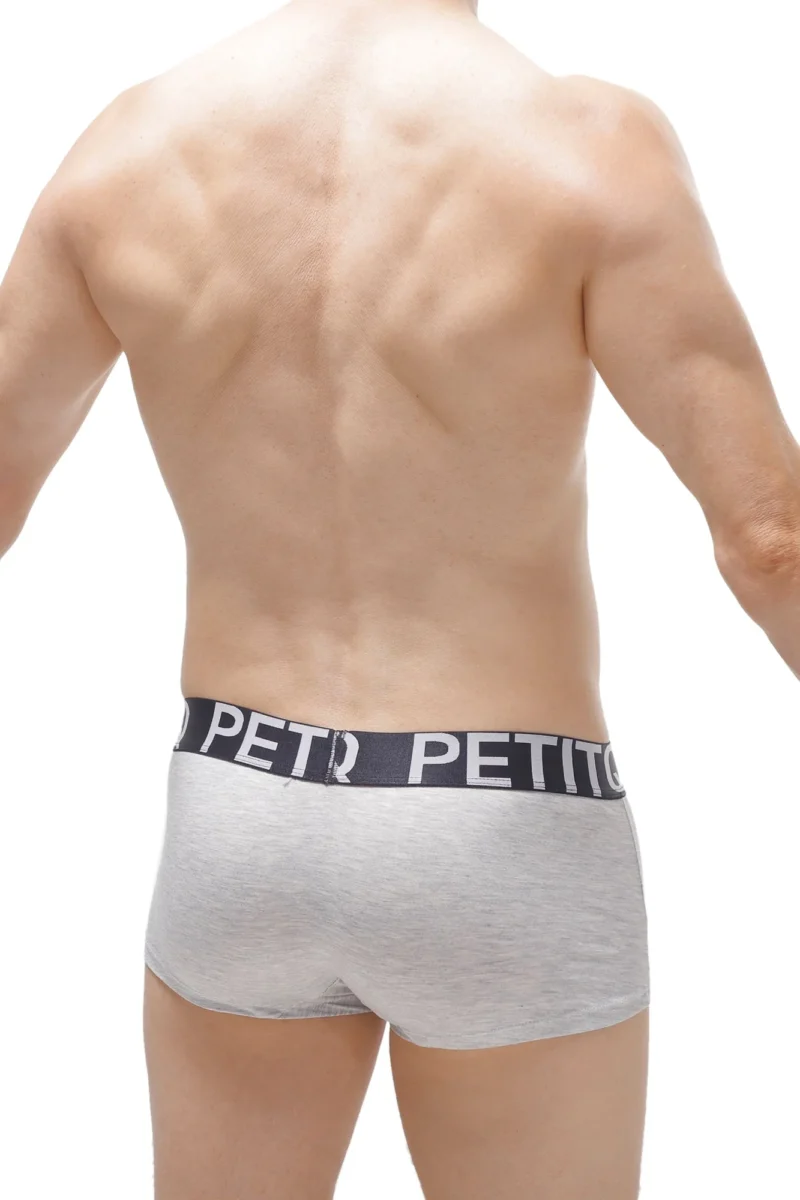 BOXER MENHIR Petitq Big Bulge Gray N082023 1