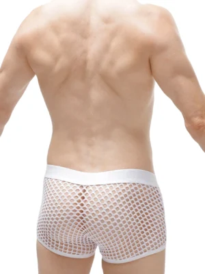 BOXER OLLOIX WHITE PETITQ 082023 1