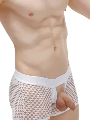 BOXER OLLOIX WHITE PETITQ 082023 3