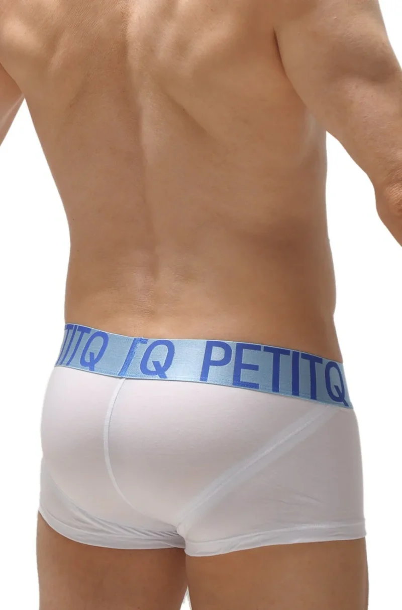 Boxer Pushup Modal White N022024 2