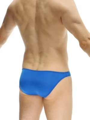 Bikini Bulge Plum Blue 1