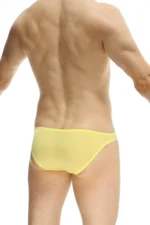 Bikini Bulge Plum Yellow 1