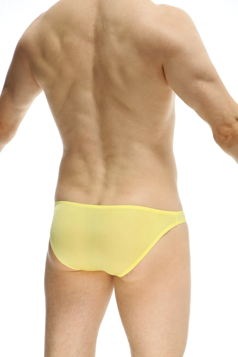 Bikini Bulge Plum Yellow 1