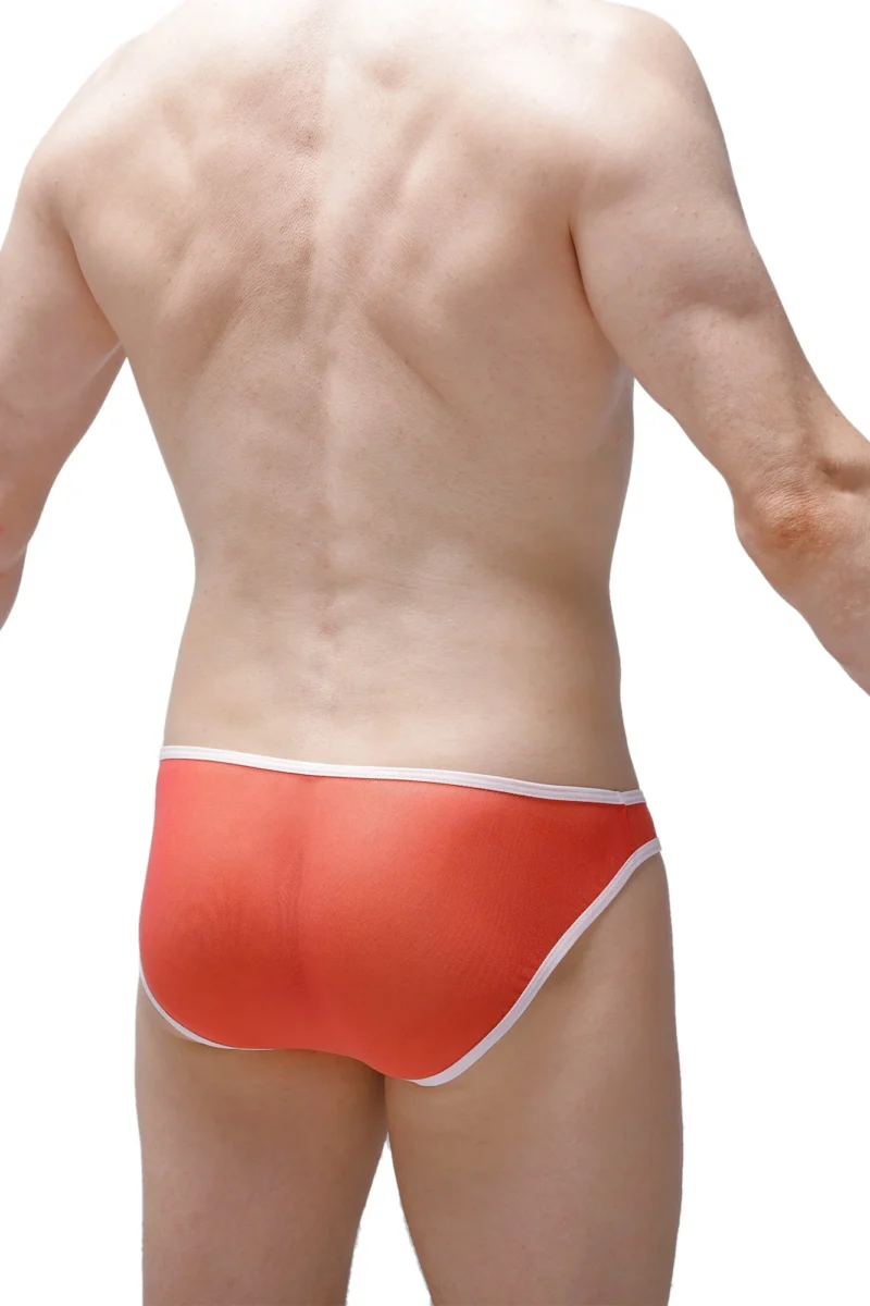 Bikini Crotchless Petitq Net Watermelon 1