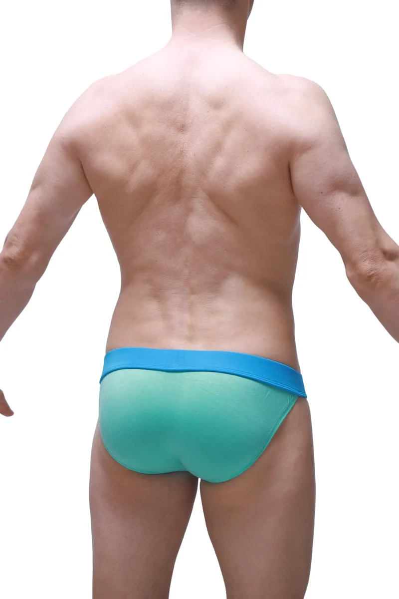 Bikini Linthes Bamboo Green Petitq 1