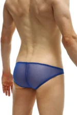 Bikini Mesh Blue Chill 1