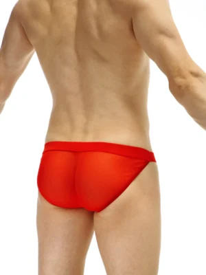 Bikini Seethrough Net Red Petitq Sillas 1