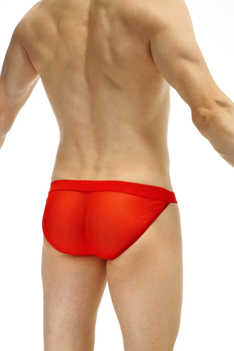 Bikini Seethrough Net Red Petitq Sillas 1