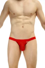 Bikini Seethrough Net Red Petitq Sillas 2