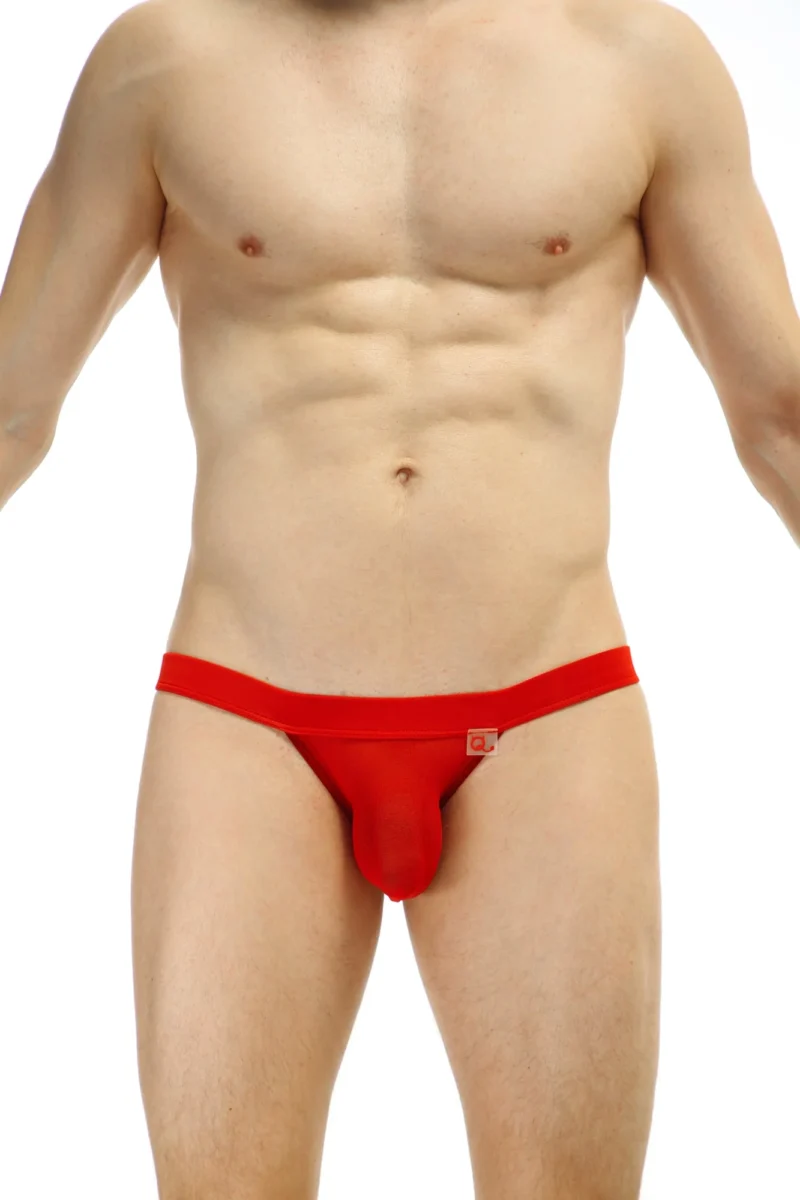 Bikini Seethrough Net Red Petitq Sillas 2