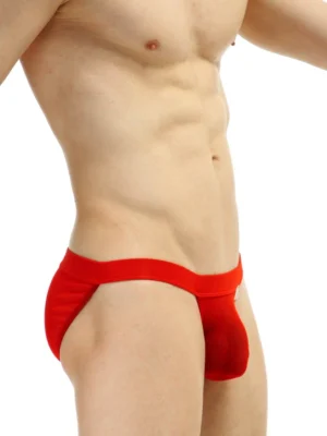 Bikini Seethrough Net Red Petitq Sillas 3