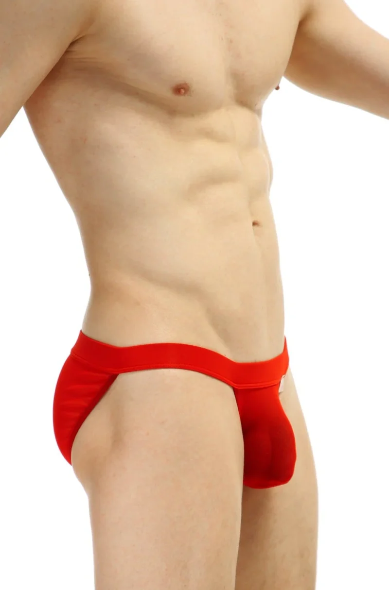 Bikini Seethrough Net Red Petitq Sillas 3