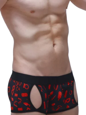 Boxer Anzex Petitq Boudoir 3