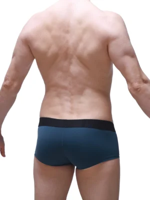 Boxer Cabrier Petitq N022025 1