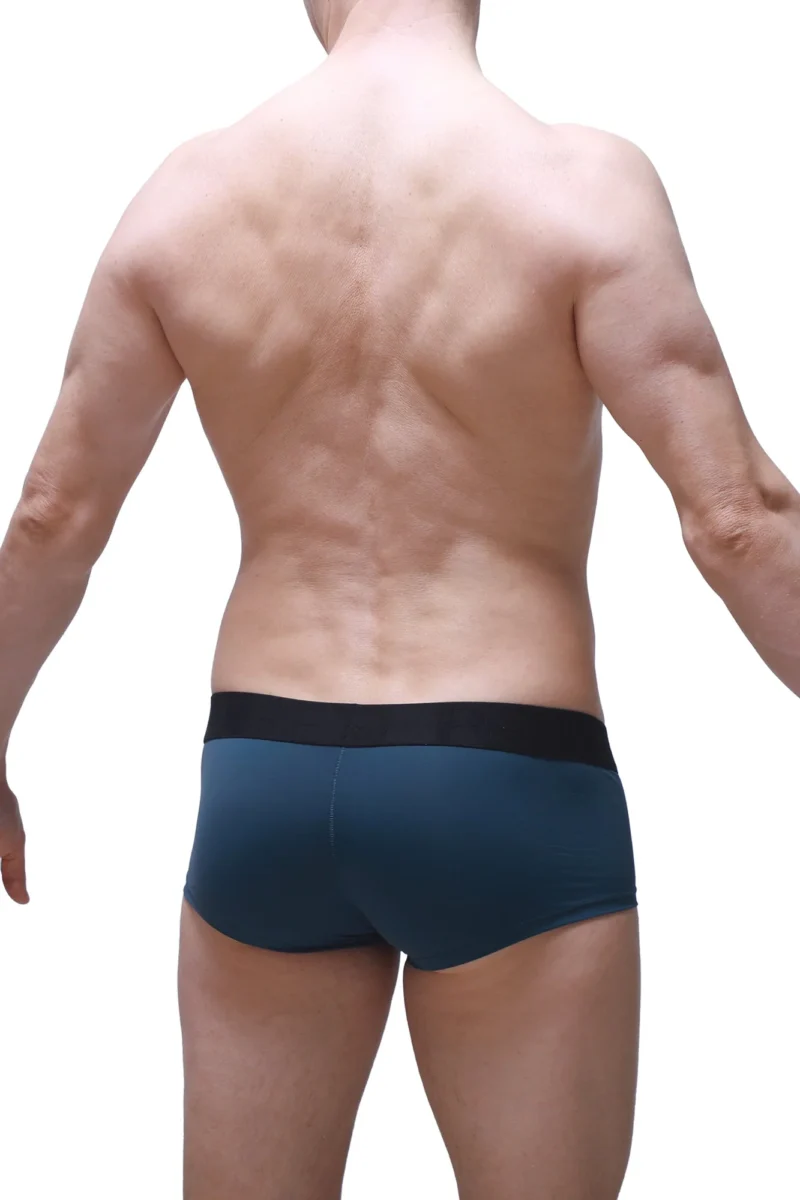 Boxer Cabrier Petitq N022025 1