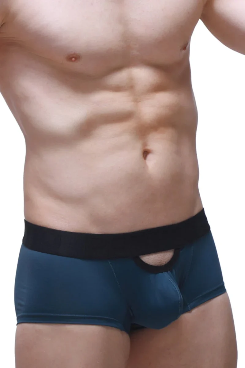Boxer Cabrier Petitq N022025 3