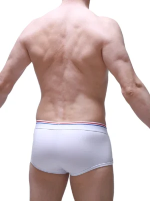 Boxer Morrier Petitq White 1