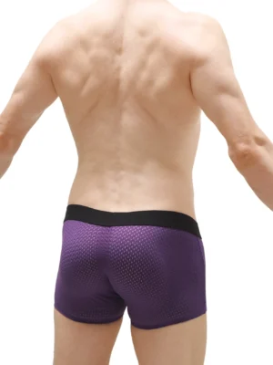Boxer Olloix Bee Purple Petitq 1 2c6fe879 E450 4c9c 9914 33069cd771d6