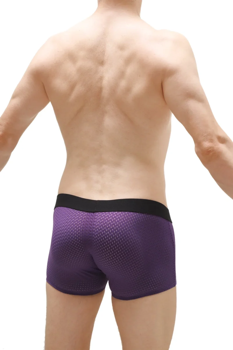 Boxer Olloix Bee Purple Petitq 1 2c6fe879 E450 4c9c 9914 33069cd771d6