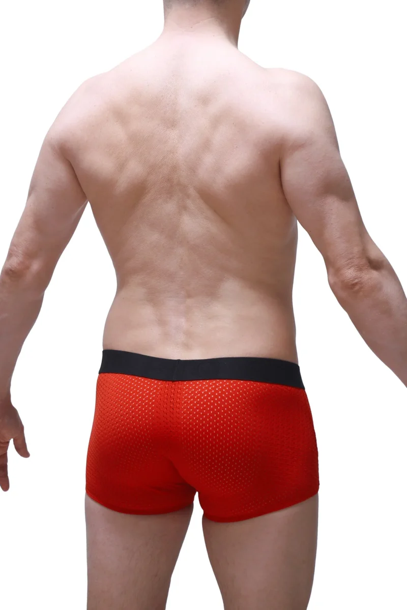 Boxer Olloix Bee Red 1