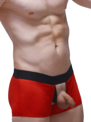 Boxer Olloix Bee Red 3