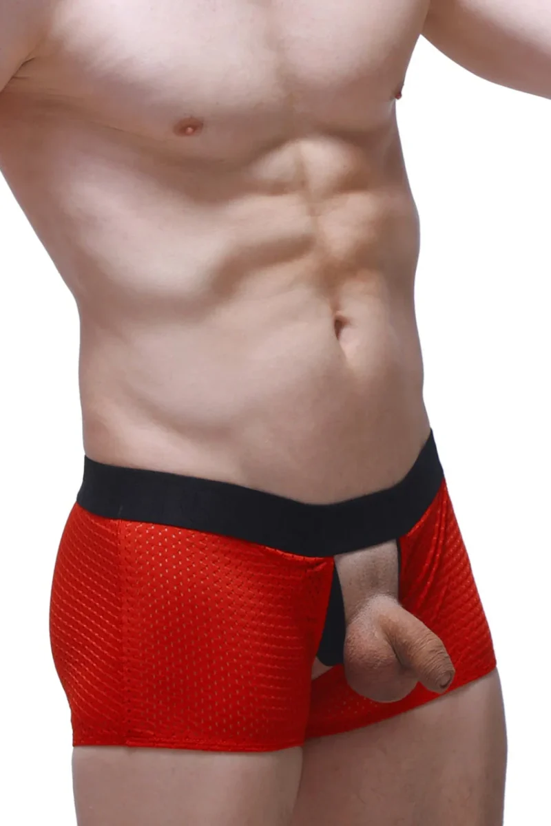 Boxer Olloix Bee Red 3