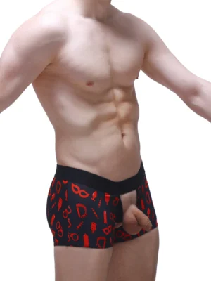Boxer Olloix Boudoir 3