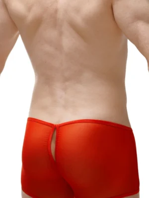 Boxer Open Net Red Petitq 1