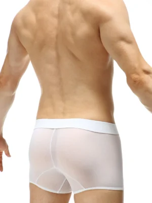 Boxer Petiq Net Percey Stars 1