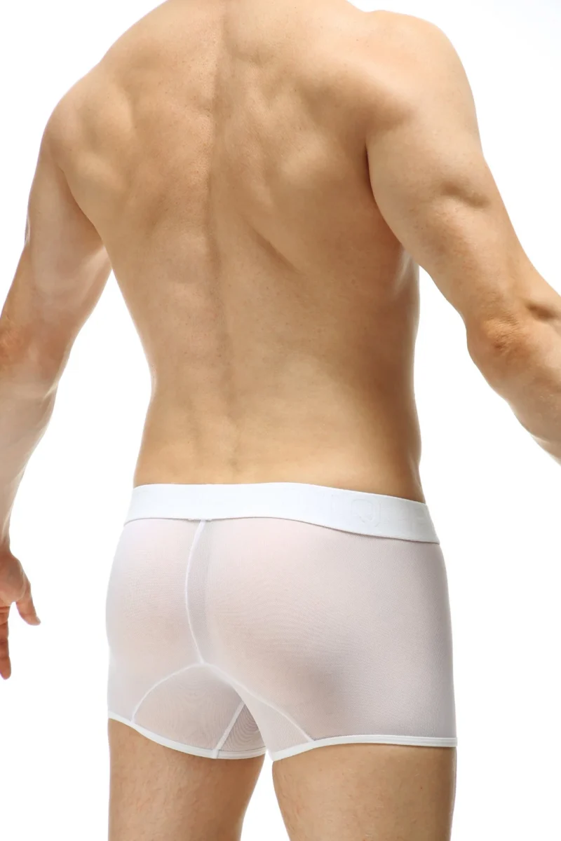 Boxer Petiq Net Percey Stars 1