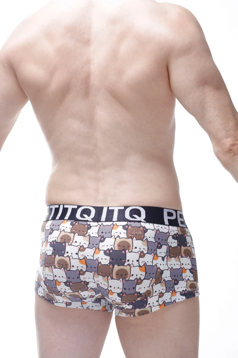 Boxer Protruder Petitq Kitty Cats 1