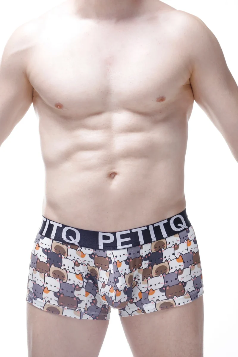 Boxer Protruder Petitq Kitty Cats 2