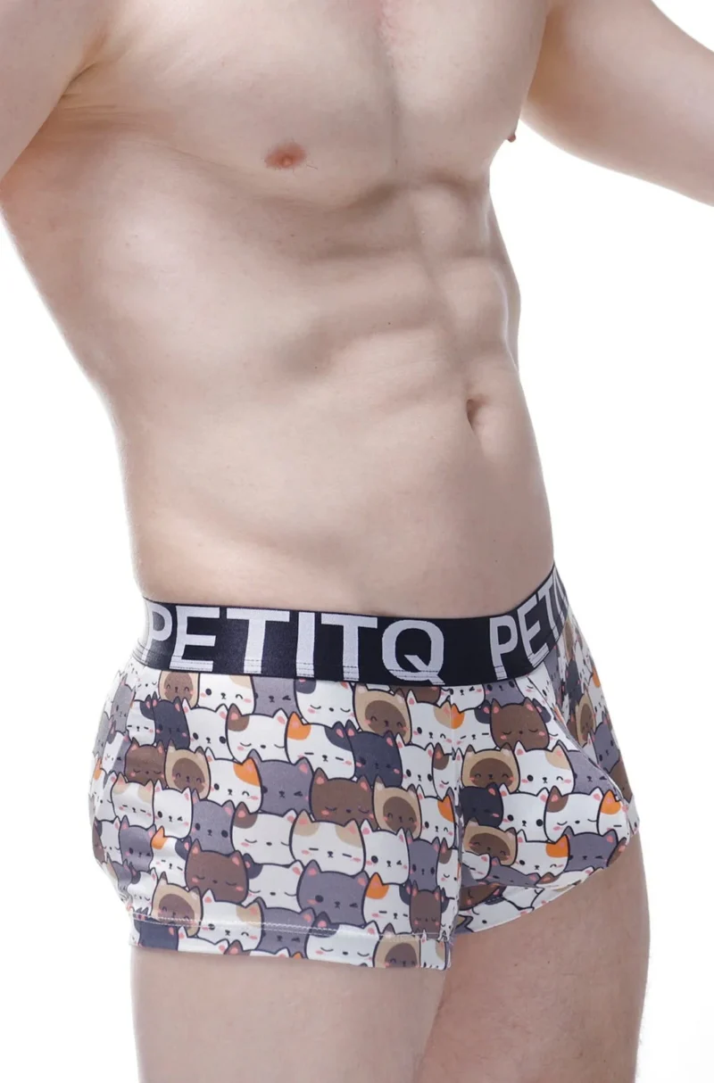 Boxer Protruder Petitq Kitty Cats 3