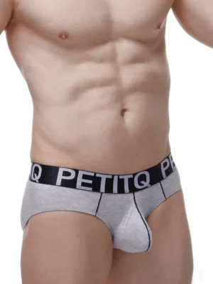 Brief Dome Gray Modal 3